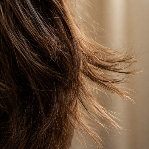 Close-up of dry, frizzy brown hair with visible split ends, flyaways, and rough, damaged strands against a soft beige background.